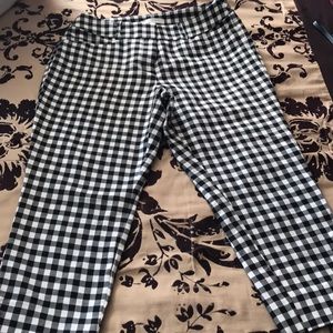 Loft pants